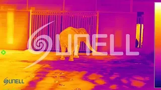 Sunell 열 카메라-코끼리 춤